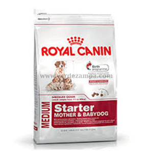 Home ADULT CANE CIBO MANTENIMENTO SECCO SECC.00021 ROYAL CANIN MEDIUM STARTER MOTHER BABYDOG KG 4 ROYAL CANIN
