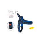 CAMON DC195/D PETTORINA DYNAMIC NEOPRENE BLU 70 CM