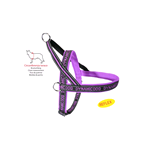 CAMON DC197/E PETTORINA NEOPRENE DYNAMIC VIOLA 80