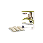 CAMON G884 IMMUN 1 GR 60CPR