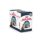 ROYAL CANIN CAT HAIRBALL CARE GRAVY BUSTA GR 85