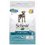 SCHESIR DOG LARGE PUPPY KG 12