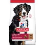 HILL'S DOG ADULT LARGE AGNELLO KG 12