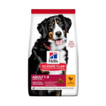 HILL'S DOG ADULT LARGE KG 12