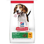 HILL'S DOG PUPPY MEDIUM KG 2,5