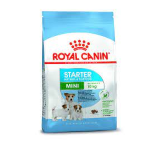 ROYAL CANIN MINI STARTER MOTHER BABYDOG KG 8