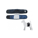CAMON C220/5 FASCIA X CANI MASCHI-BLU -TG.5