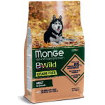 MONGE BWILD GRAIN FREE M/M SALMONE PISELLI KG 2,5