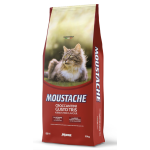 MONGE CAT SECCO MOUSTACHE KG 20