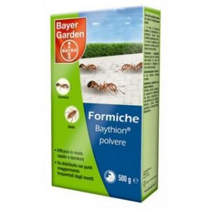 Protect Home Baythion Polvere Formiche Gr 375