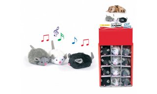 Camon Ag018/a G.gatto Topo C.squittio Box12p