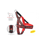 Camon Dc199/b Pett.neoprene-dynamic-rossa 45 - immagine 2