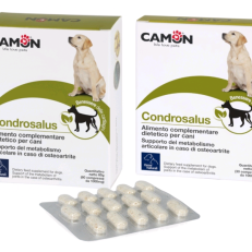 Camon G879 Compresse Condrosalus -60cpr