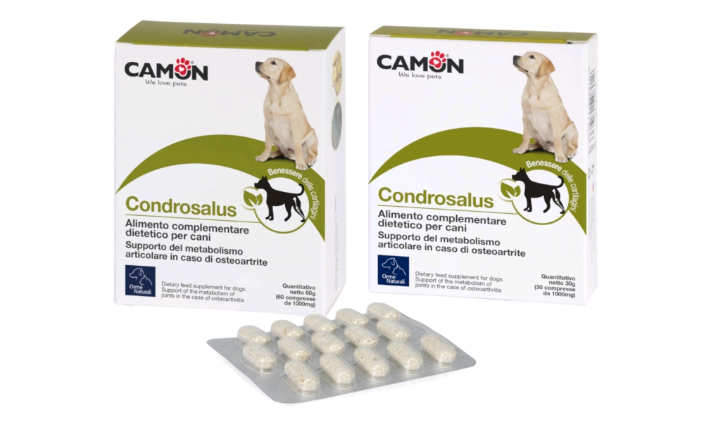 Camon G879 Compresse Condrosalus -60cpr