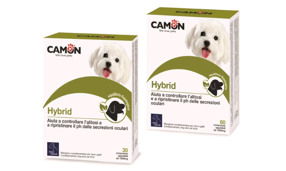 Camon G880 Compresse Hybrid 60 Compresse
