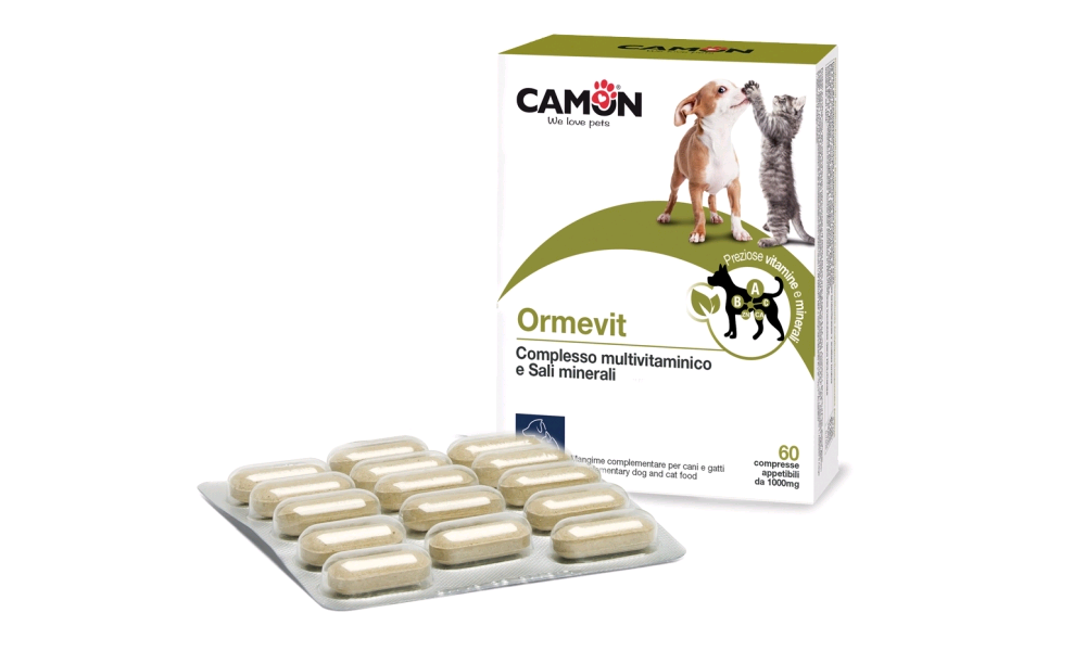 Camon G887 Ormevit