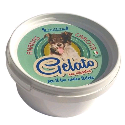 Unipro Gelato Ananas Carota Gr 60
