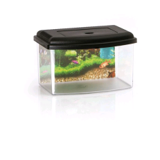 Georplast Acquario Con Coperchio 28 Cm 5.50 Lt