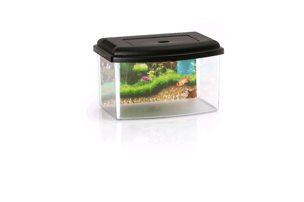 Georplast Acquario Con Coperchio 28 Cm 5.50 Lt