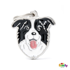 Myfamily Border Collie Friends