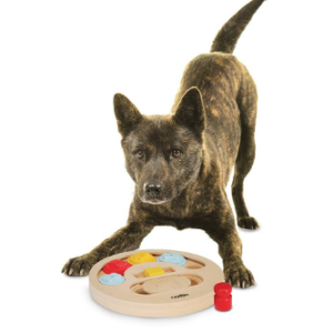 Camon Ad600 Gioco Attivazione Mentale X Cani,  Tondo Diam.23cm