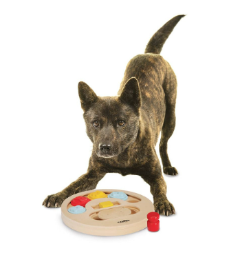 Camon Ad600 Gioco Attivazione Mentale X Cani, Tondo Diam.23cm