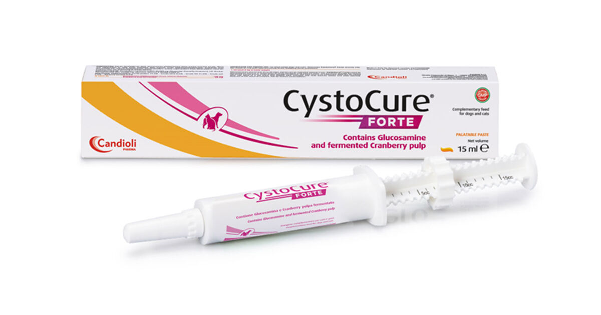 Candioli Cystocure Forte Pasta Ml 15