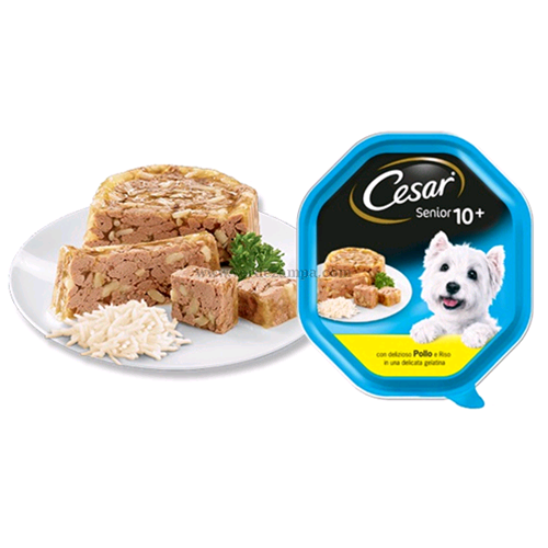 Cesar Senior 10+ Tenero Pollo Riso Salsa Gr 150 - immagine 3
