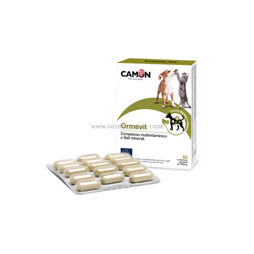Camon G887 Ormevit - immagine 3