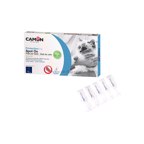 Camon G910 Spoton Gatto - immagine 3