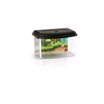 Georplast Acquario Con Coperchio 28 Cm 5.50 Lt - immagine 2