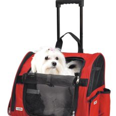 Camon Ca603/b1 Trolley -43x26x36 - Rosso