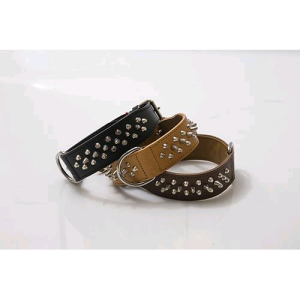 Leopet Collare Pitbull Colore Marrone 4,0 X 55 Cm