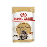 Royal Canin Cat Umido Busta Breed Maine Coon Gr 85 - immagine 2