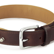 Camon Da016/c Col"colorado"c/bor.mm30x640