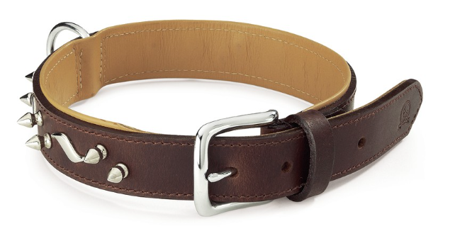 Camon Da016/c Col"colorado"c/bor.mm30x640