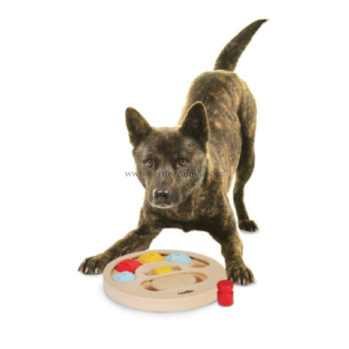 Camon Ad600 Gioco Attivazione Mentale X Cani, Tondo Diam.23cm - immagine 3