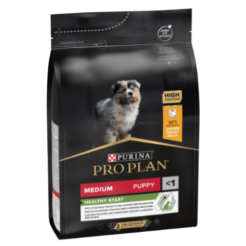 Proplan Dog Secco Puppy Medium Healthystart Pollo Kg 12 - immagine 3