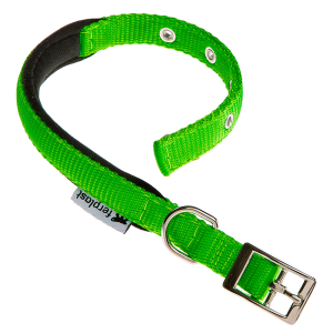 Ferplast Collare Daytona C25/45 - VERDE