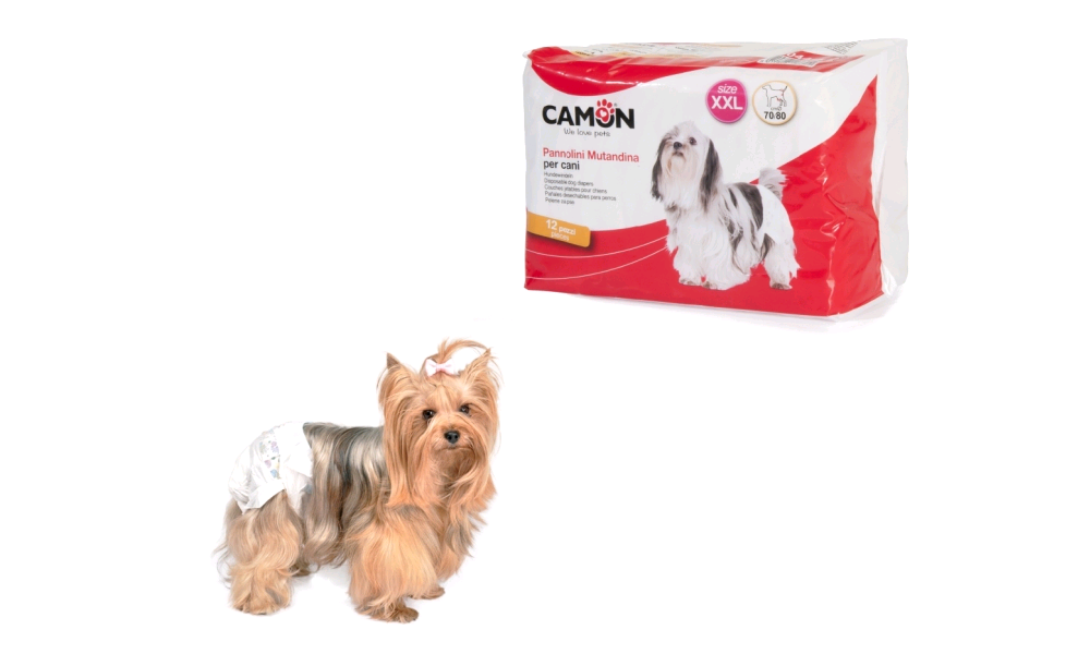 Camon B044/5 Pannolini.mutandine Tg4 Pz 12 ( Xxl )