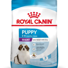 Royal Canin Dog Secco Puppy Giant