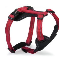 Camon Dc171/02 Pettorina Neoprene 5 Regolazioni Reflex - Blu - Xs
