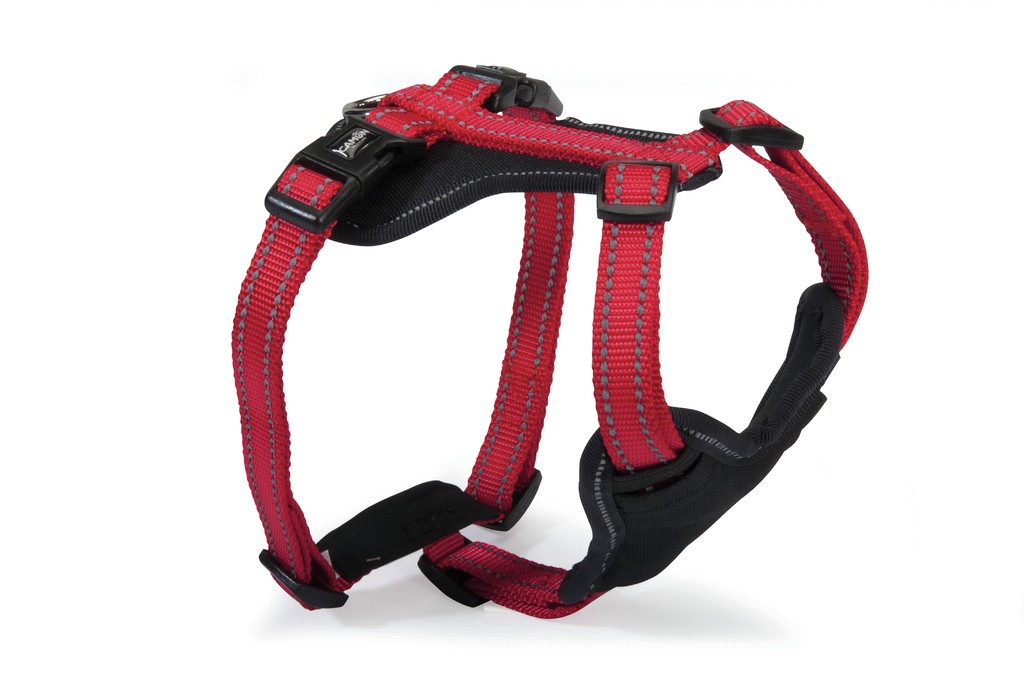 Camon Dc174/01 Pettorina Neoprene 5 Regolazioni Reflex - Rossa - L