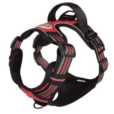 Camon Dc352/01 Pettor. Regol. Tecnica - Imbot. Reflex - Colore:  Rosso Tg. M