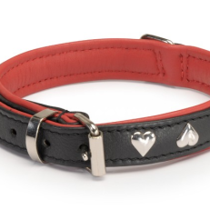 Camon Da045/b Collare Morbido In Vera Pelle Con Finiture In Metallo  Cuore, Nero/ Bordo Rosso, 25x550mm