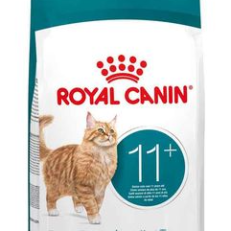 Royal Canin Cat Secco Ageing 11+ - KG 2