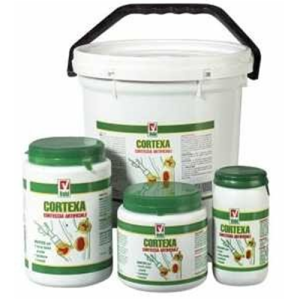 Vebi Cortexa Mastice Gr 250