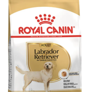 Royal Canin Dog Breed Secco Adult Labrador Retriever Kg 12