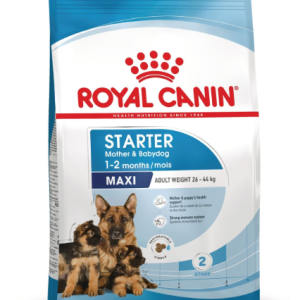 Royal Canin Dog Secco Maxi Starter Mother E Babydog - KG 15