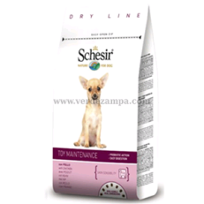 Schesir Dog Secco Adult Toy